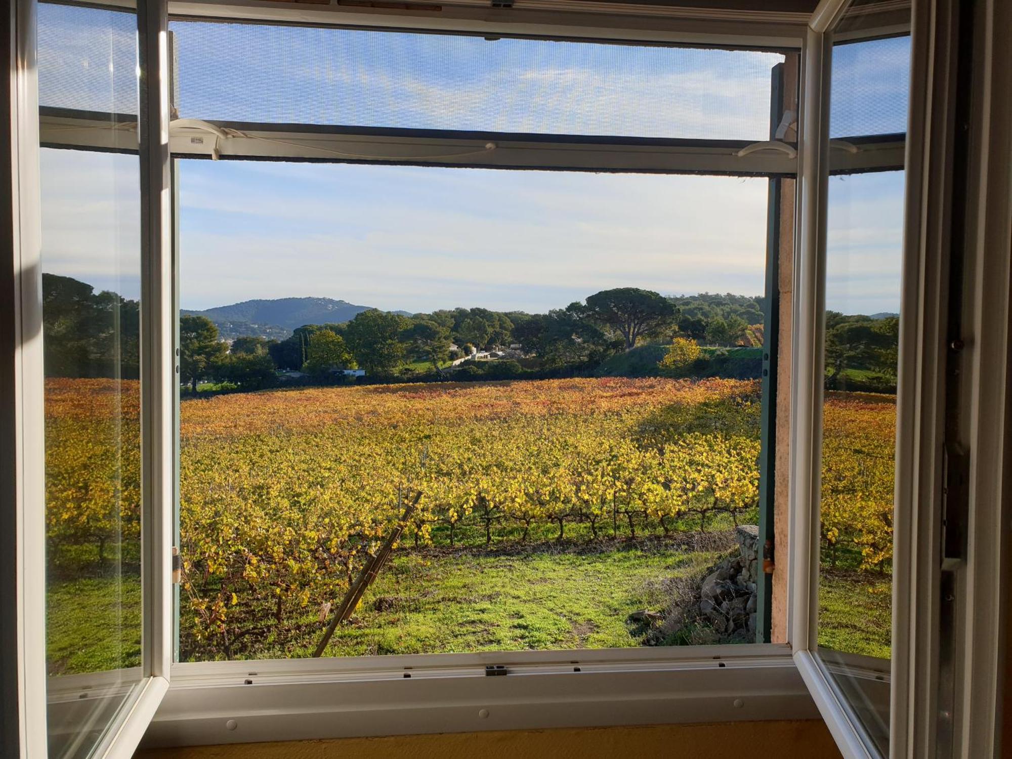 Domaine De La Navicelle Villa Le Pradet Buitenkant foto