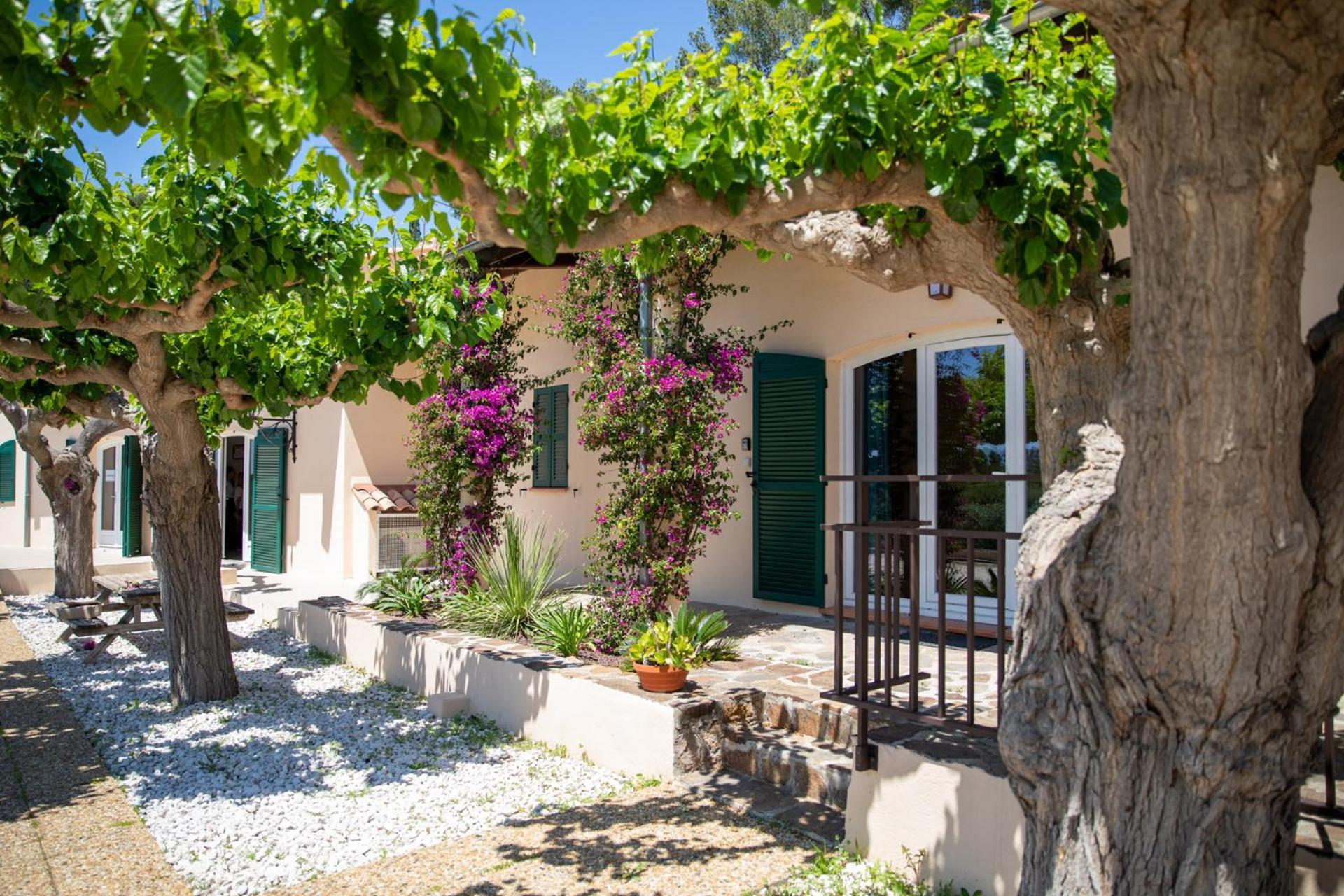 Domaine De La Navicelle Villa Le Pradet Buitenkant foto