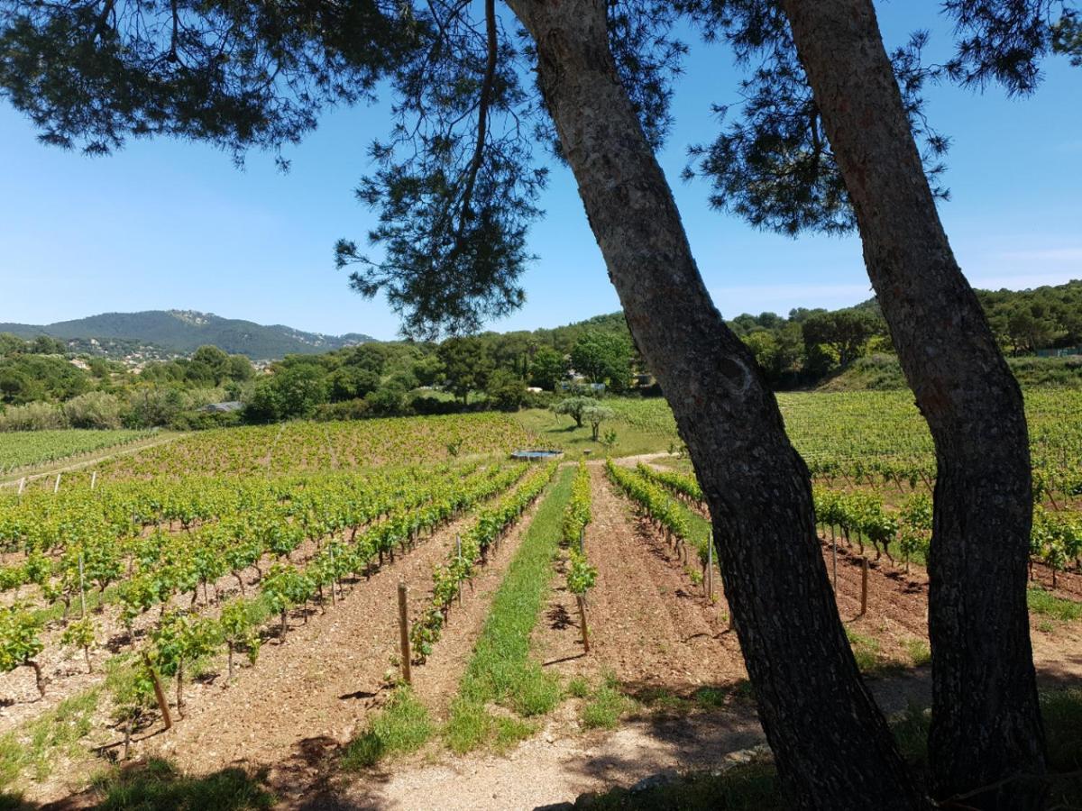 Domaine De La Navicelle Villa Le Pradet Buitenkant foto