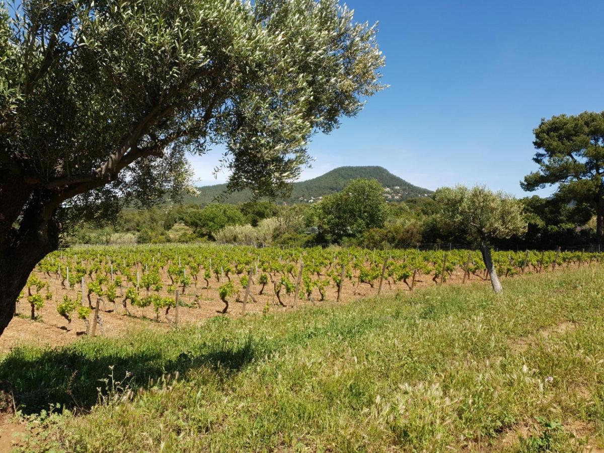 Domaine De La Navicelle Villa Le Pradet Buitenkant foto